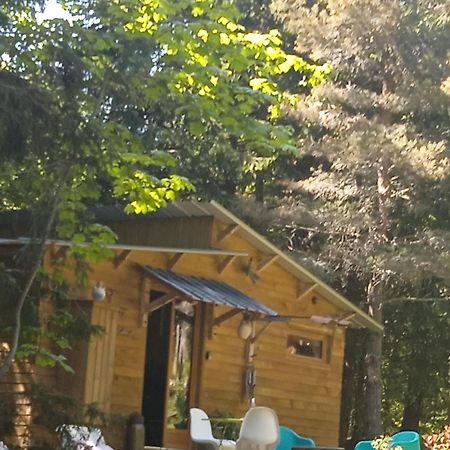 Chalet Libellule Domaine De La Mamounette Champclause Екстериор снимка