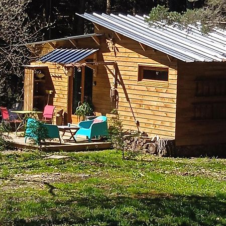 Chalet Libellule Domaine De La Mamounette Champclause Екстериор снимка