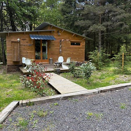 Chalet Libellule Domaine De La Mamounette Champclause Екстериор снимка