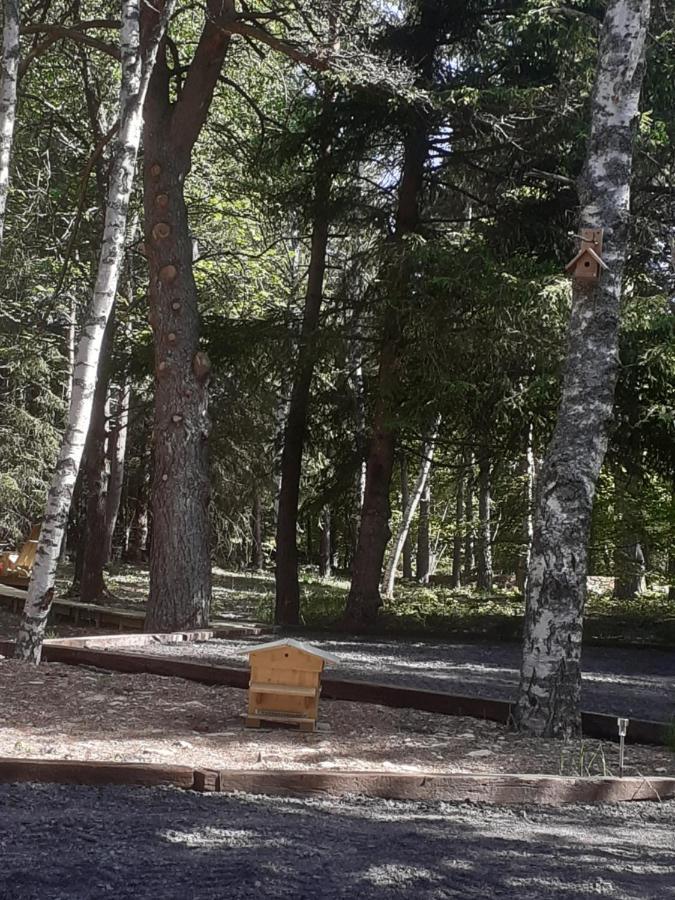 Chalet Libellule Domaine De La Mamounette Champclause Екстериор снимка