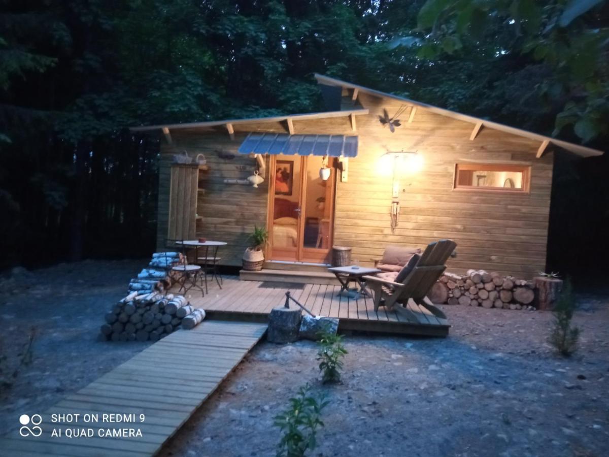 Chalet Libellule Domaine De La Mamounette Champclause Екстериор снимка