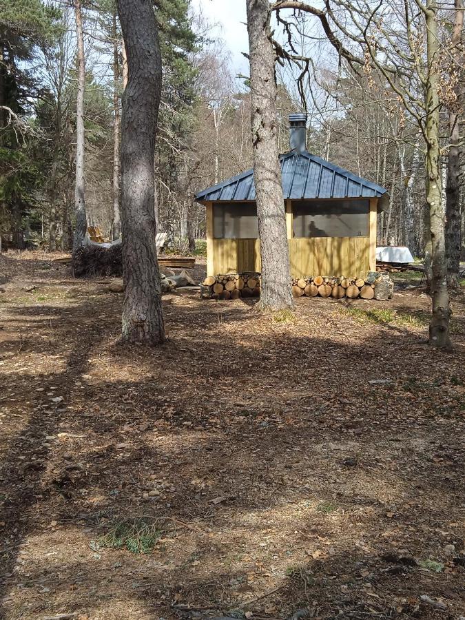 Chalet Libellule Domaine De La Mamounette Champclause Екстериор снимка