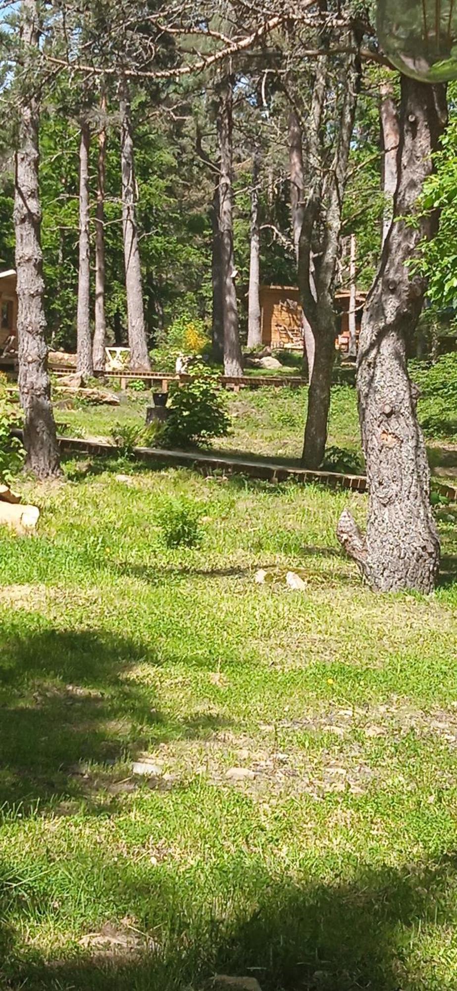 Chalet Libellule Domaine De La Mamounette Champclause Екстериор снимка